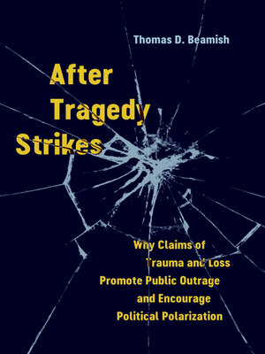 cover image of After Tragedy Strikes